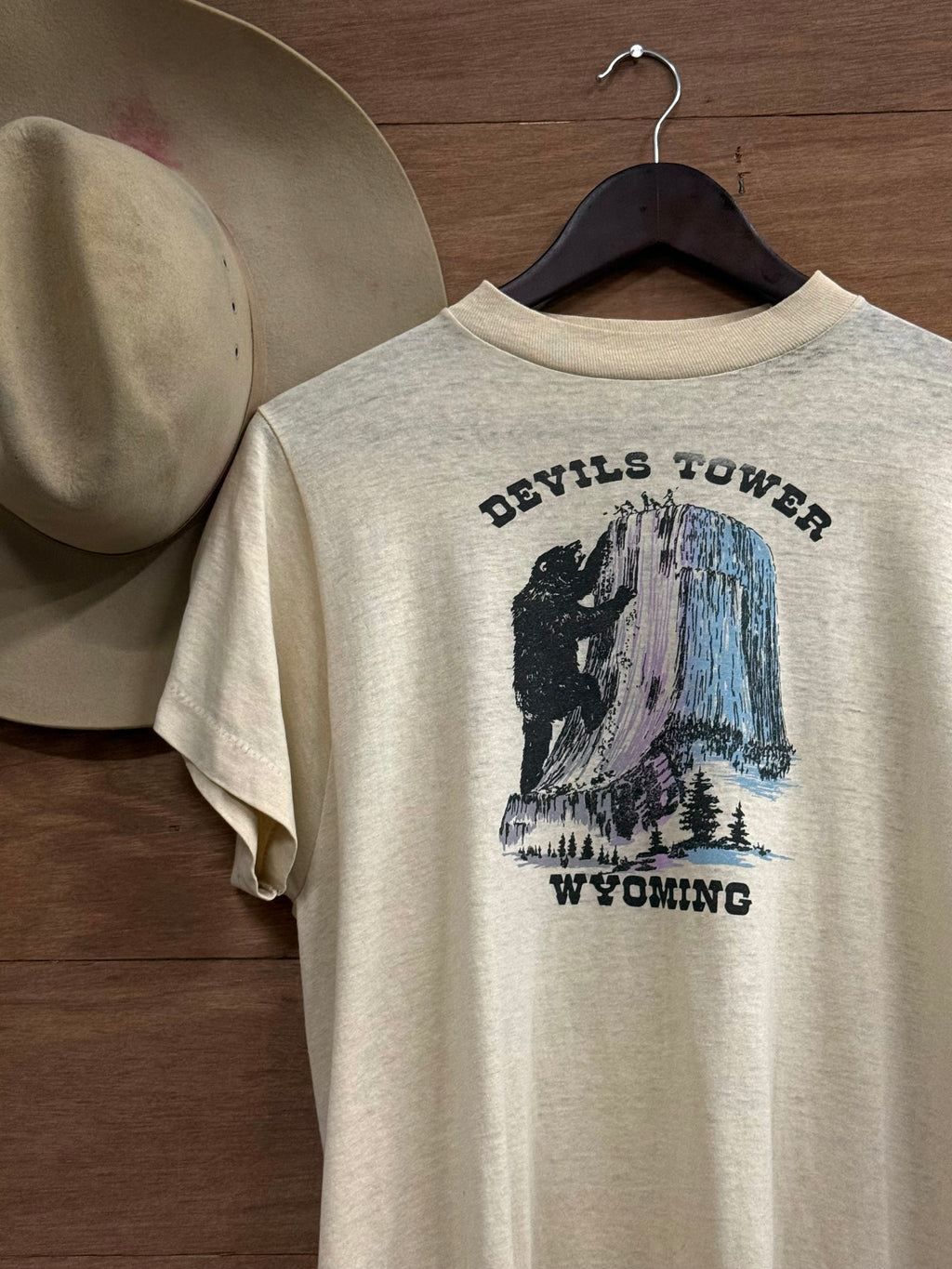 80s Devils Tower Wyoming Tee
