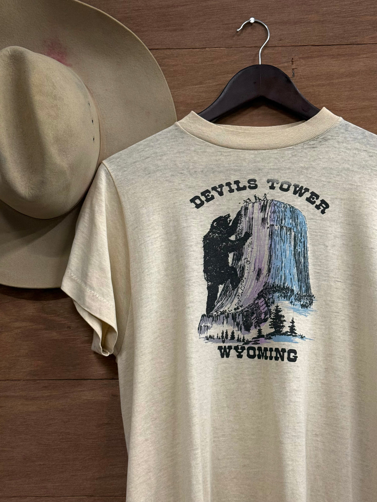 80s Devils Tower Wyoming Tee